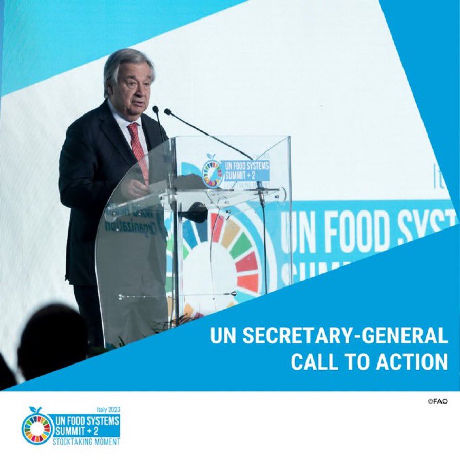 Italy UN New York tweet media