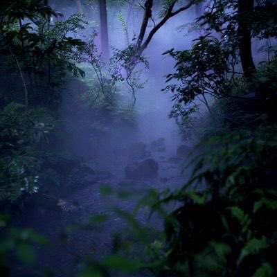violettweets_'s tweet photo. lavender haze. https://t.co/RRNcSW6sHa