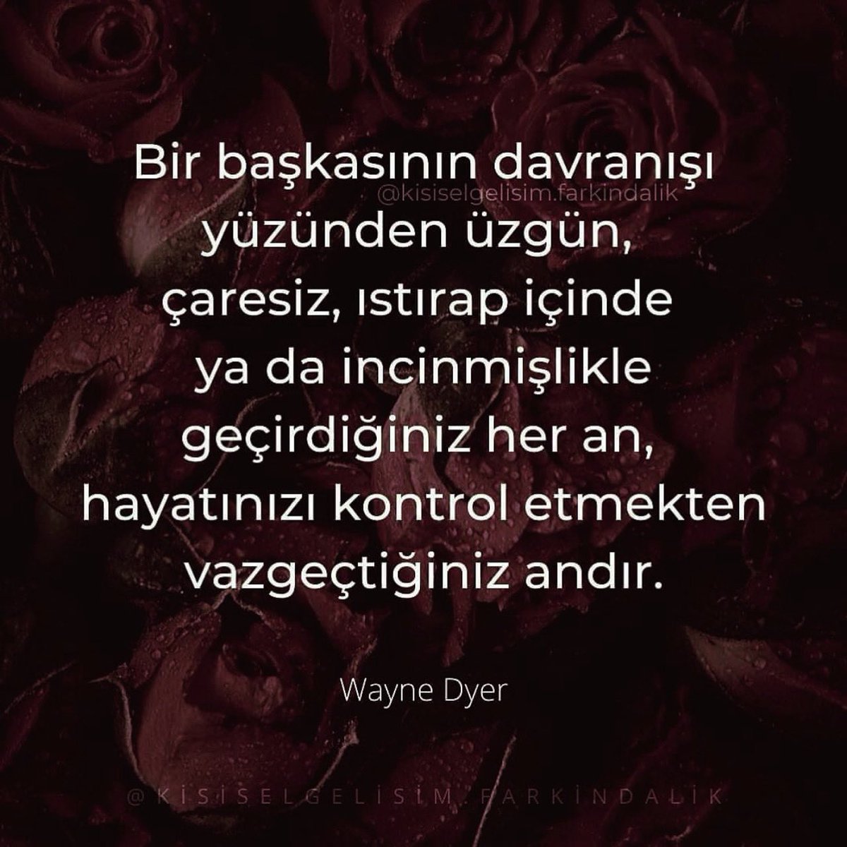 fkisiselgelisim's tweet photo. “Başkalarının egolarına karşı tepkisiz kalmak, kendi içinizdeki egoyu yok etmek adına yapılabilecek en etkili yöntem­dir. Başkalarındaki egoya tepki vermeyerek, ister istemez farkındalığı ortaya çıkarırsınız, bu da şartlanmaya karşı şartlanmamış bilinçtir.” ⬇️

Eckhart Tolle https://t.co/lSMn7P71zD