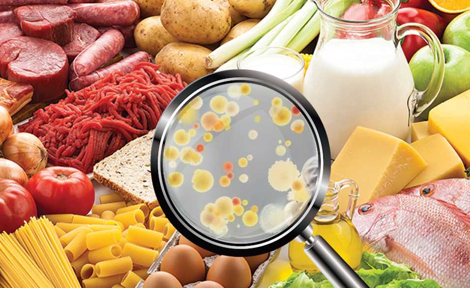 SureBioChemLab's tweet photo. E. coli, a potential foodborne foe, demands our attention. Practice food safety by seeking rigorous food testing, washing fruits and veggies, cooking meat thoroughly, and good kitchen hygiene. Let's keep our meals delicious and risk-free! #foodsafety #foodtesting #foodsavy https://t.co/E0jIudwknV