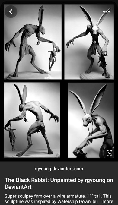 More about rabbits https://t.co/0d5yZnI2be