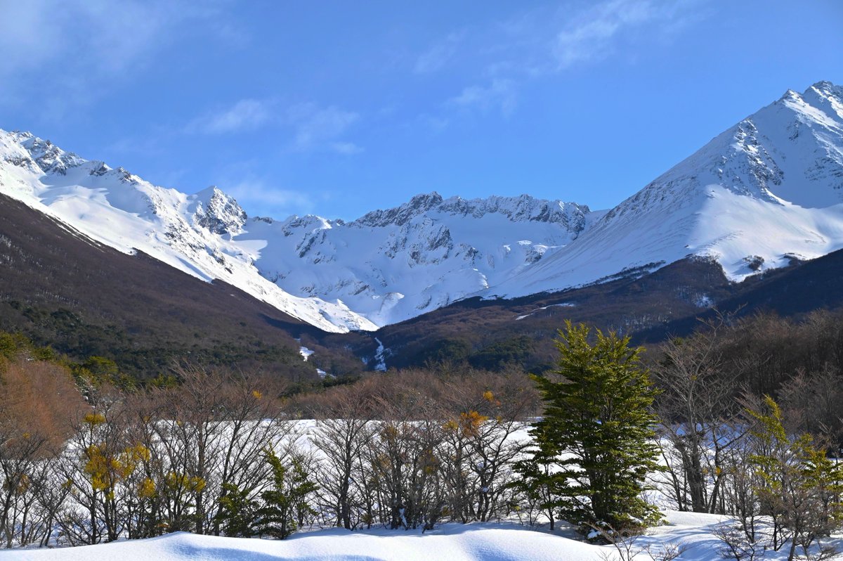 El Glaciar Martial

¡Tierra del Fuego es emoción a primera vista! 📷🤳

¡Hacete #FanDeLaNieve del Fin del Mundo!

#Ushuaia #TierraDelFuego #FinDelMundo #LaRutaNatural #Patagonia #Argentina