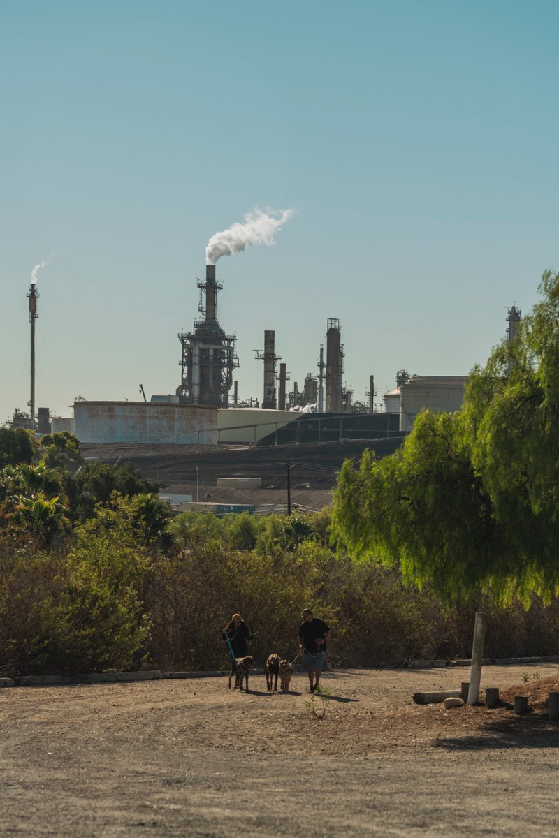 Hannah_Benet's tweet photo. Outtake from an assignment for @earthjustice https://t.co/388scVjU0a