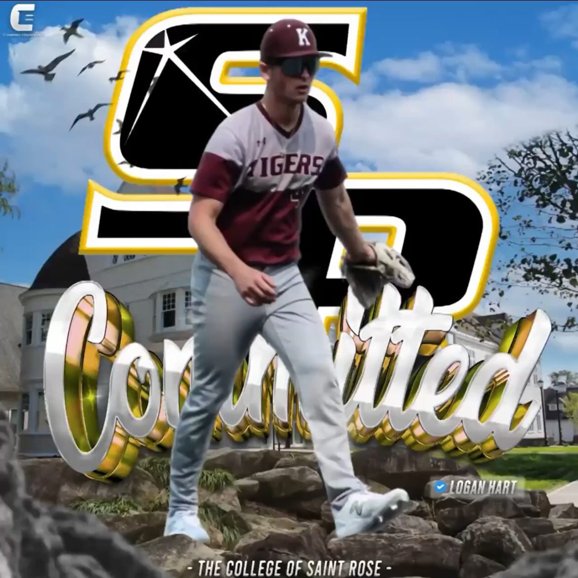 NEPridebaseball tweet media