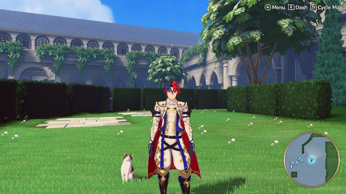 Renato Vogel tweet media