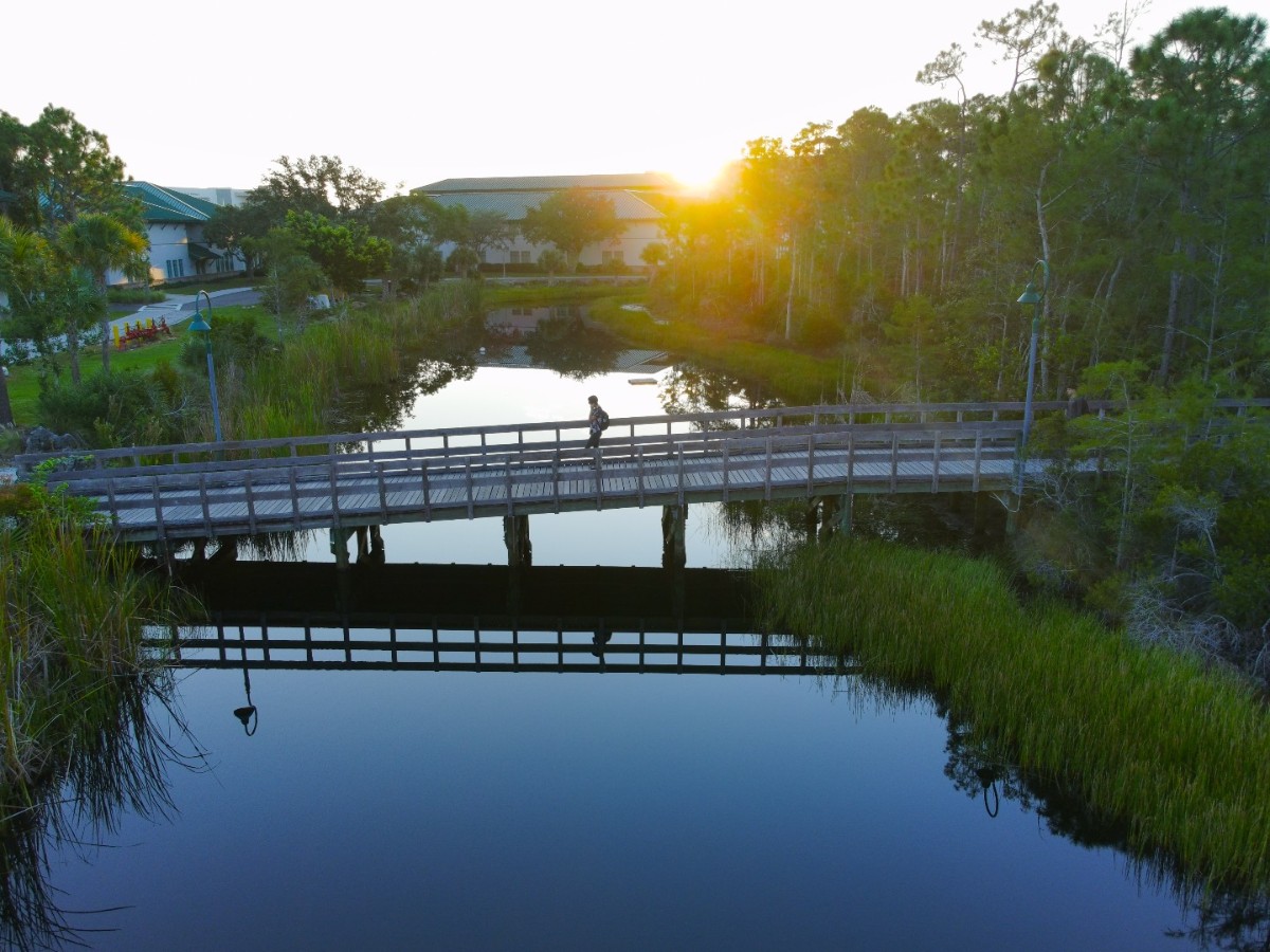 fgcu's tweet photo. The early #Eagle gets a ✨beautiful✨ morning view! Check out these eagle-eye view drone shots from this week on campus. #FGCU #CampusLife #EagleEyeView #DronePhotography https://t.co/1b0ChluqDs