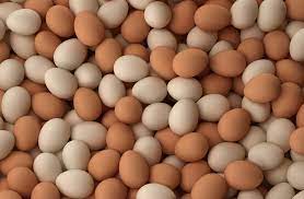 hormonedietdoc's tweet image. Beat this!

In an egg: 
Retinol (vitamin A) 98mcg
Riboflavin 0.4mg
Thiamin 0.05mg
Vitamin B6 0.02mg
VitaminB12 0.33mcg
Biotin 5.2mcg
Folate 88mcg
Vitamin D 7.9mcg
Vitamin E 1.9mg
Pantothenic acid 1.07mg
Potassium 131mg
Magnesium 12mg
Phosphorus 171mg
Iron 1.8mg
Selenium 28mcg…