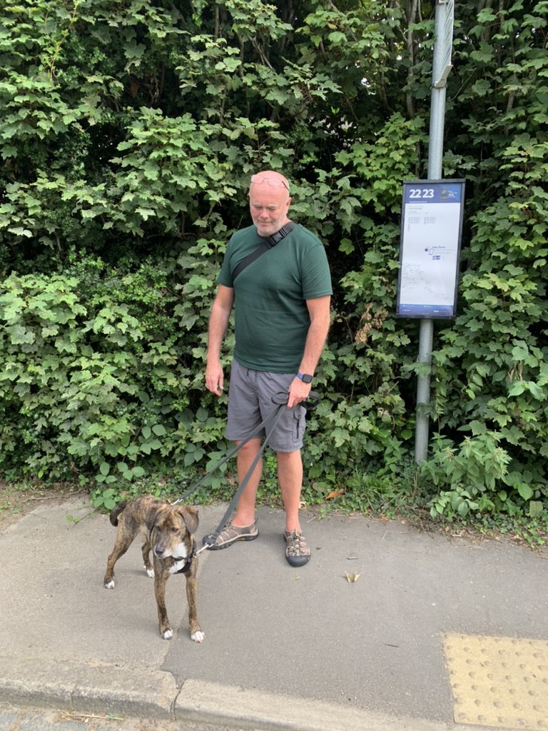 kittykat3647's tweet photo. @GillyMeeky well we have travelled around North Yorkshire for a week. Milo has been such a good boy and everyone who met him thought he was stunning. #MiloAdventures Knarsborough nice night to sit outside and waiting for the bus https://t.co/lYveoa8cVX