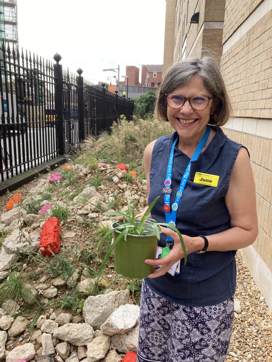 jennypenn (@jennyepenn) on Twitter photo 🌸 #WasteToWildlifeGarden - when better to unveil a drought tolerant #greenspace 🥵
Very proud to be part of a partnership <a href="/GSTTnhs/">Guy's and St Thomas'</a> <a href="/KingsCollegeLon/">King's College London</a> <a href="/cityscapesUK/">Cityscapes</a> <a href="/TeamLondonBdg/">Team London Bridge</a> & lead on comms & engagement.
#biodiversity in action for people & wildlife👉teamlondonbridge.co.uk/wastetowildlife 🌸 #WasteToWildlifeGarden - when better to unveil a drought tolerant #greenspace 🥵
Very proud to be part of a partnership <a href="/GSTTnhs/">Guy's and St Thomas'</a> <a href="/KingsCollegeLon/">King's College London</a> <a href="/cityscapesUK/">Cityscapes</a> <a href="/TeamLondonBdg/">Team London Bridge</a> & lead on comms & engagement.
#biodiversity in action for people & wildlife👉teamlondonbridge.co.uk/wastetowildlife