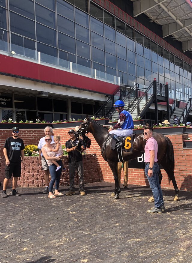 Tidewater, 3YO @MarylandTB gelding by Outflanker, now 2-for-2 in 2023 after off-pace win in MD-restricted allowance at 5F on turf @PimlicoRC. Ridden again by @SheldonRussell1 for trainer @TJAguirreRacing and breeder/owner Little Man Farm. (Jim McCue finish 📷)