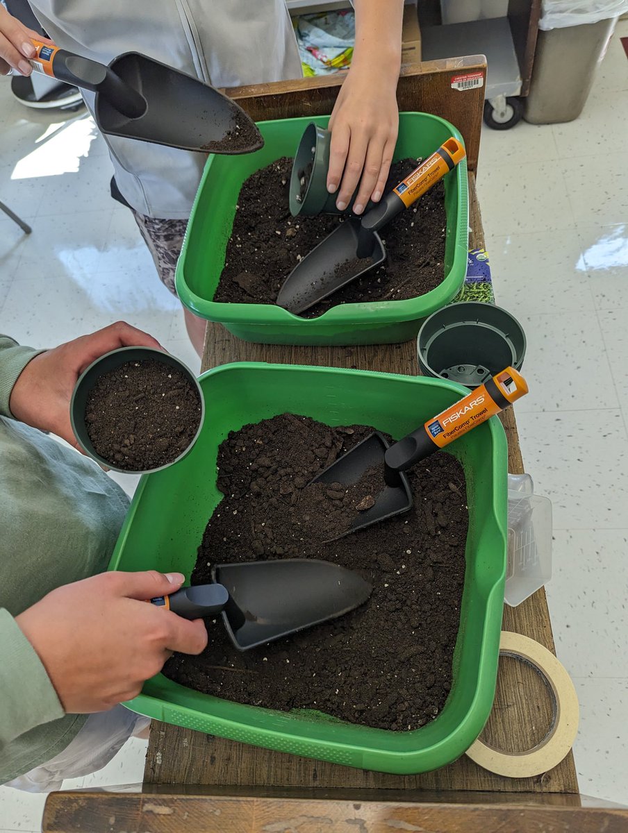 Michael Stagg tweet media