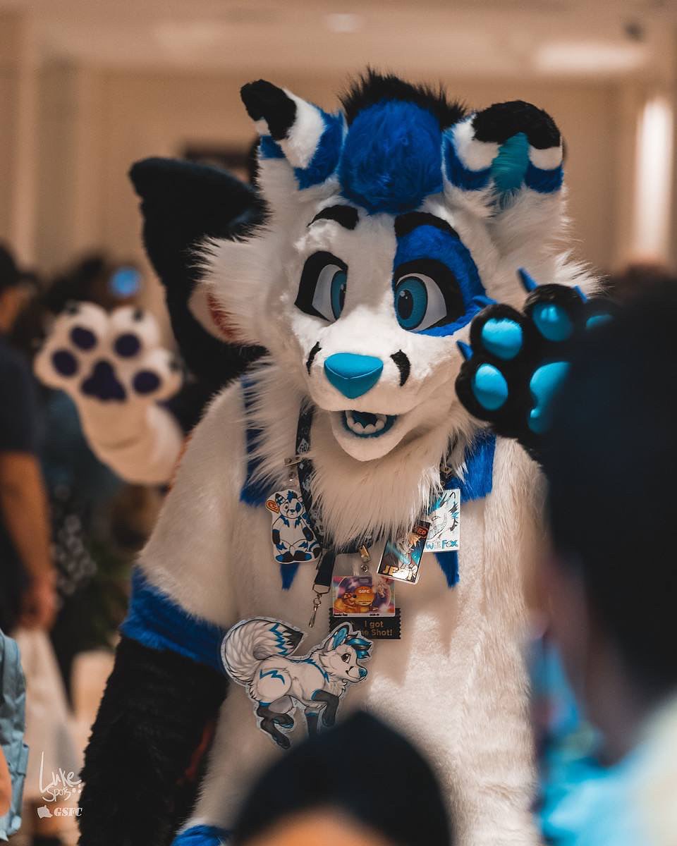 bowiefox's tweet photo. Taking it back to #gsfc2022 for this #FursuitFriday
βοΈ: @DelishDisguises
πΈ: @luke_spots
#furry #furryfandom #fursuit #fursuiter #fursuiting #fursona https://t.co/BVvONTuStD