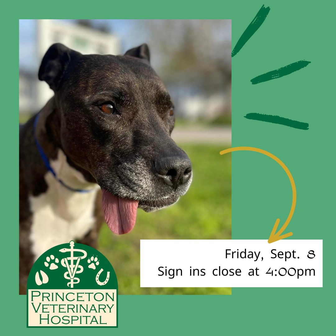 Princeton Veterinary Hospital tweet media