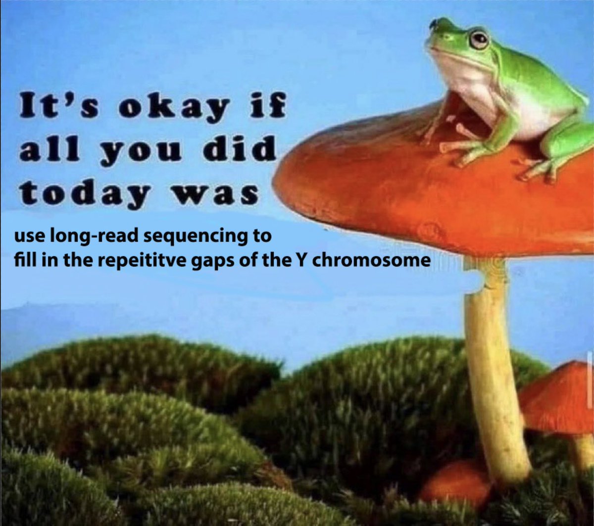 genome_gov's tweet photo. The Y chromosome has an unusually high percentage of repetitive DNA sequence, which made it SUPER difficult for scientists to study. They had to use special technology and methods to make it happen! So remember that patience and rest leads to innovation.  https://t.co/XoPOfnIOPS https://t.co/efQYrRrq6V