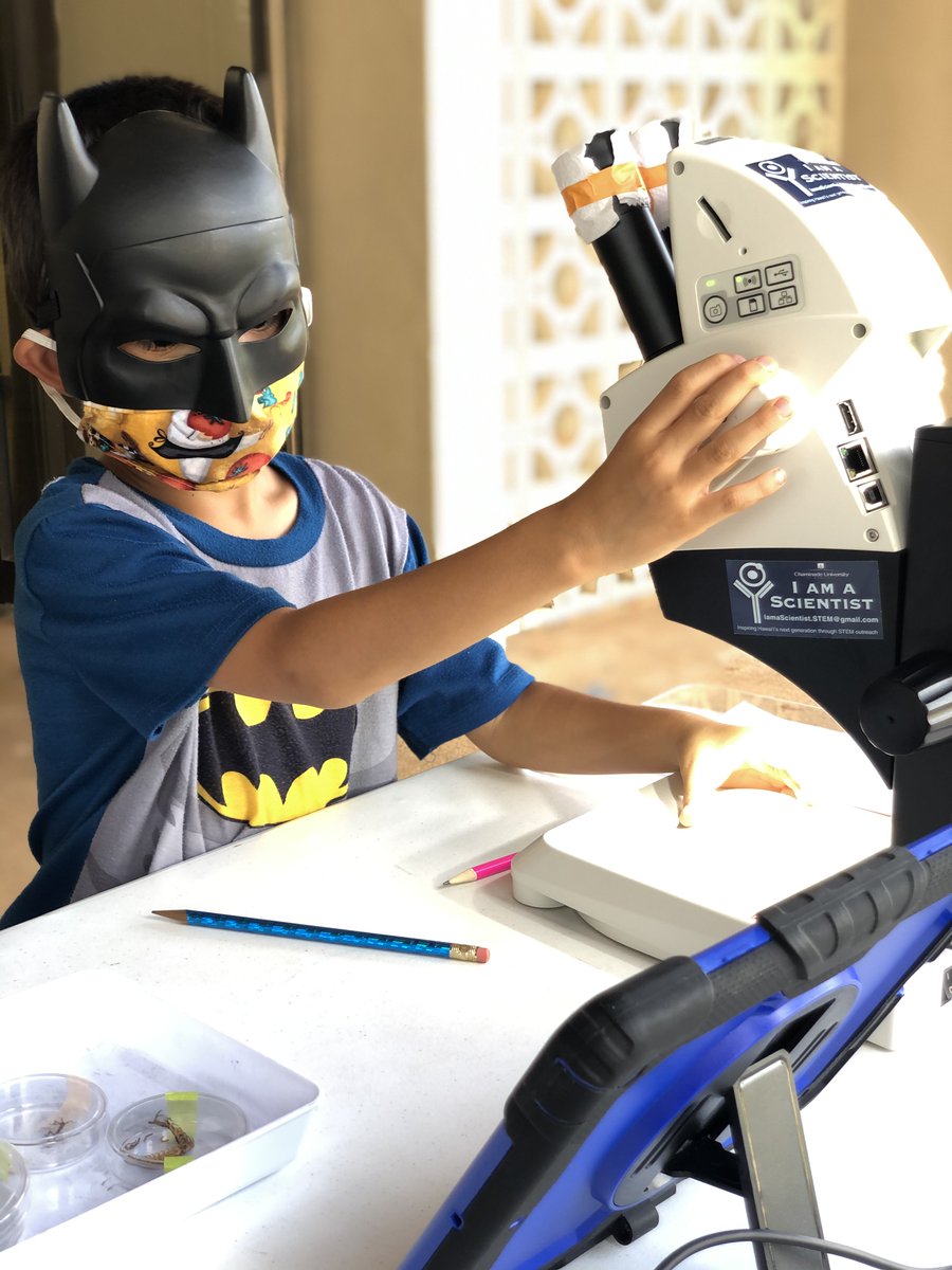 hawaiigeek's tweet photo. Come down to the 15th Hawaii Geek Meet on Sunday, Sept. 24 and meet with the #ChaminadeUniversity and #IAmAScientist team!
@Chaminade_Univ
#hawaiigeek #hawaiigeekmeet #geekmeet #higeek #higeek2023 https://t.co/dqUcveTnks