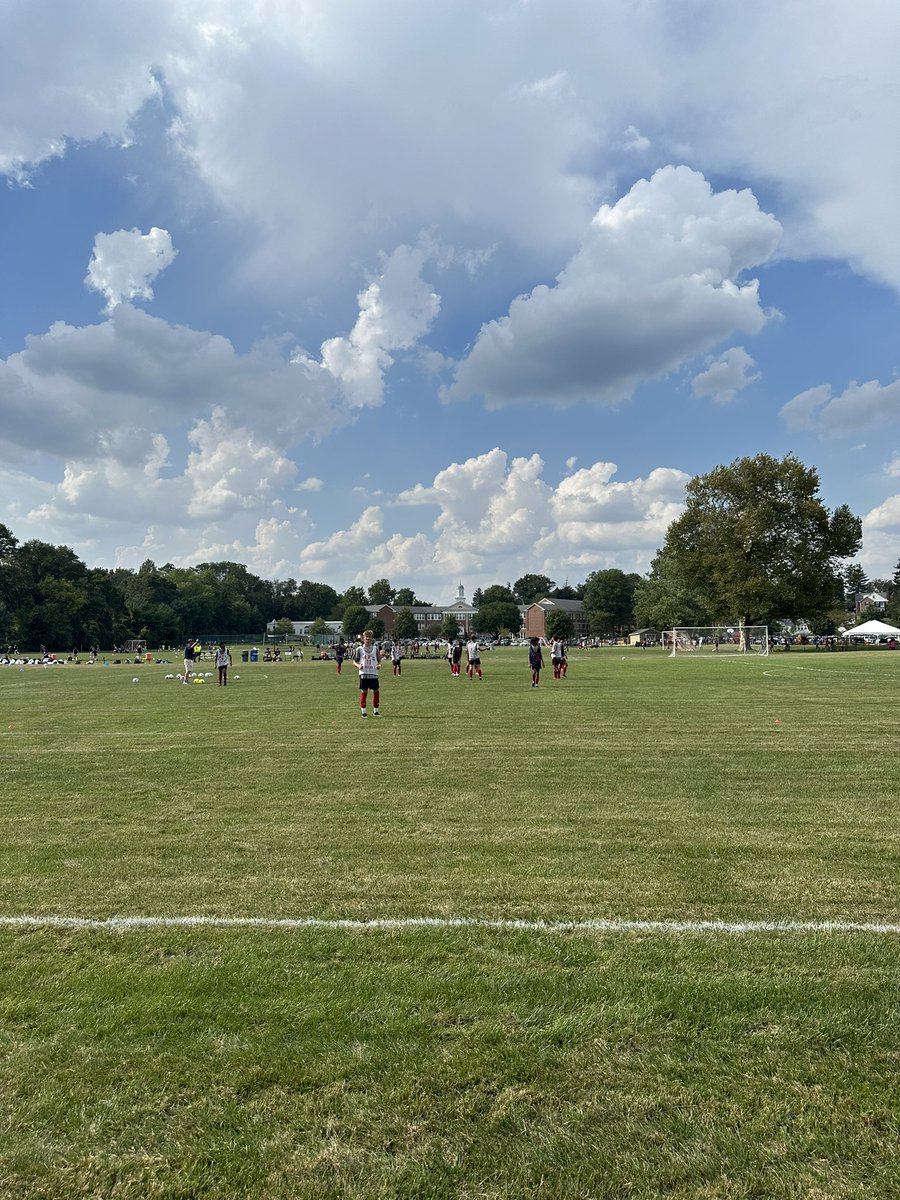 MFS WordsWorth tweet media