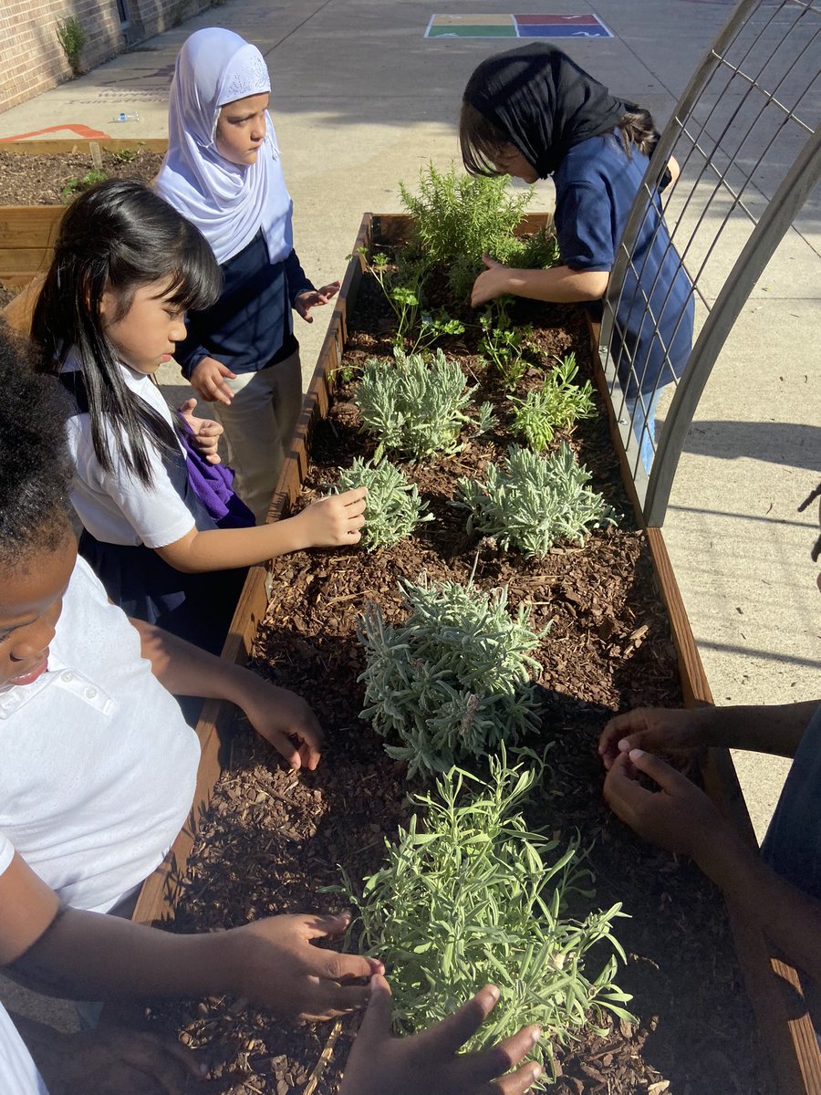 Atwood McDonald Elementary School tweet media