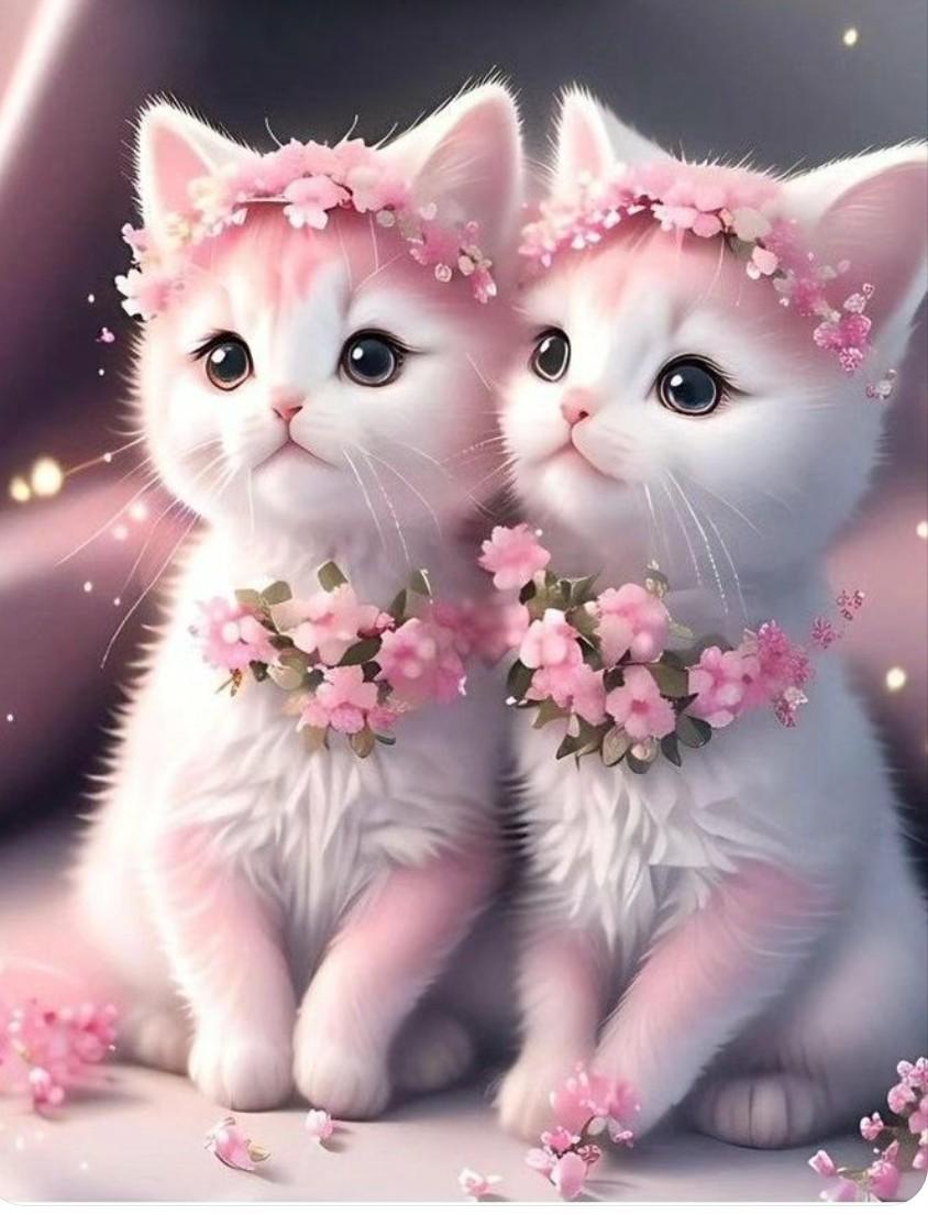 consuelo dorantes (@consuelodorant6) on Twitter photo 