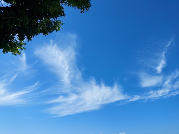 Twitterのコスプレ画像1