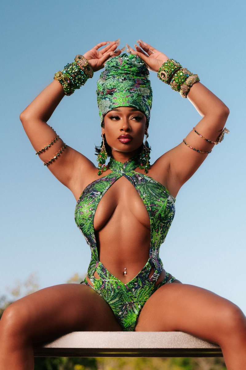 theestallion tweet picture