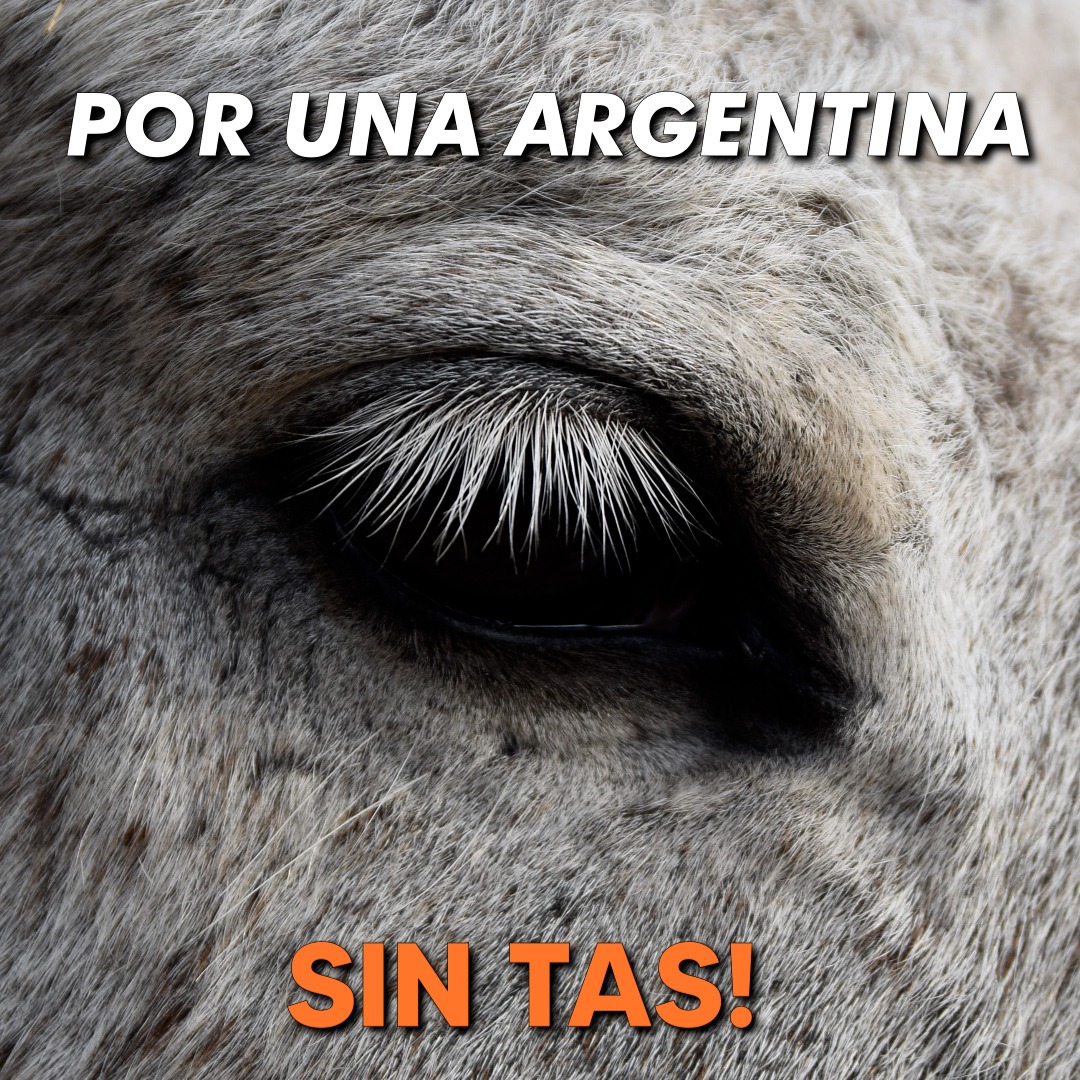 BsAsSINTAS's tweet photo. https://t.co/nplY5lDryb https://t.co/LsdGu5Q0KH