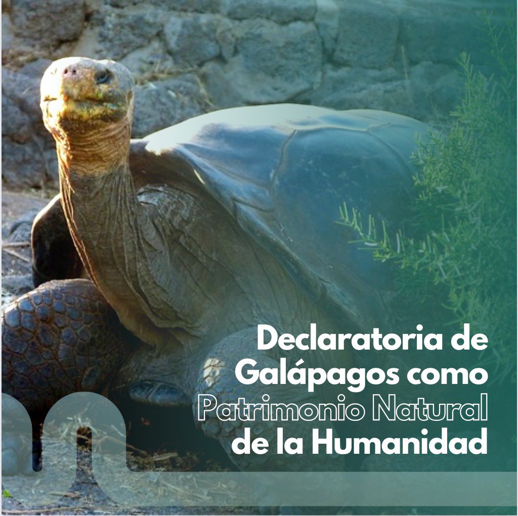 Un día como hoy en 1976, las Islas Galápagos fueron designadas como Patrimonio Natural de la Humanidad por la UNESCO.

Saludamos con orgullo a las majestuosas Islas, un tesoro de biodiversidad y belleza única que debemos proteger y preservar para las generaciones futuras.
