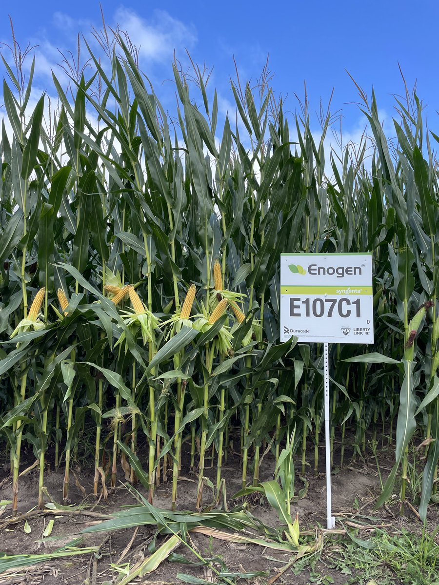 Charles Scovill tweet media