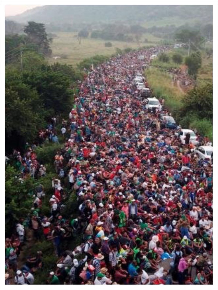 Tosca Austen tweet media