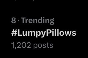 TG22110's tweet image. LOL  #LumpyPillows