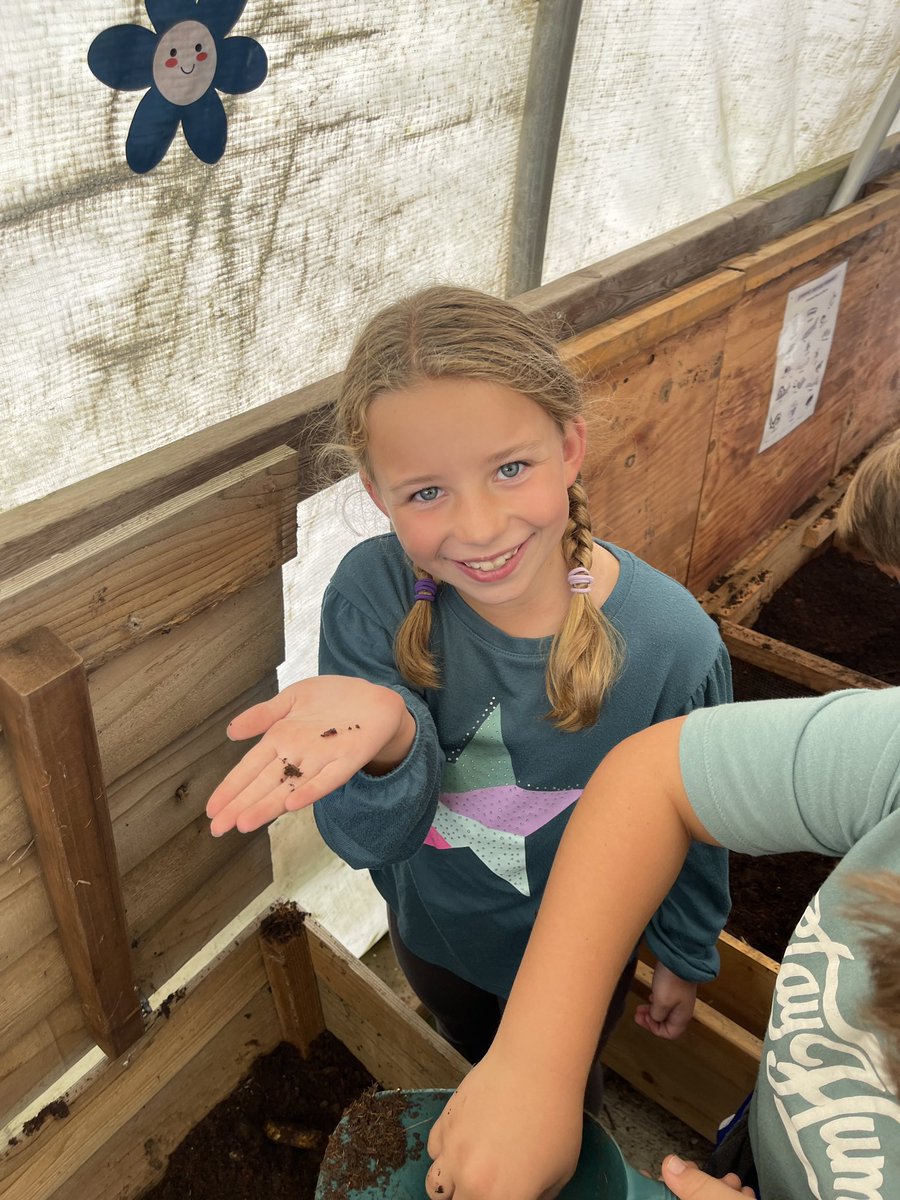 Mrs. Schaefer tweet media