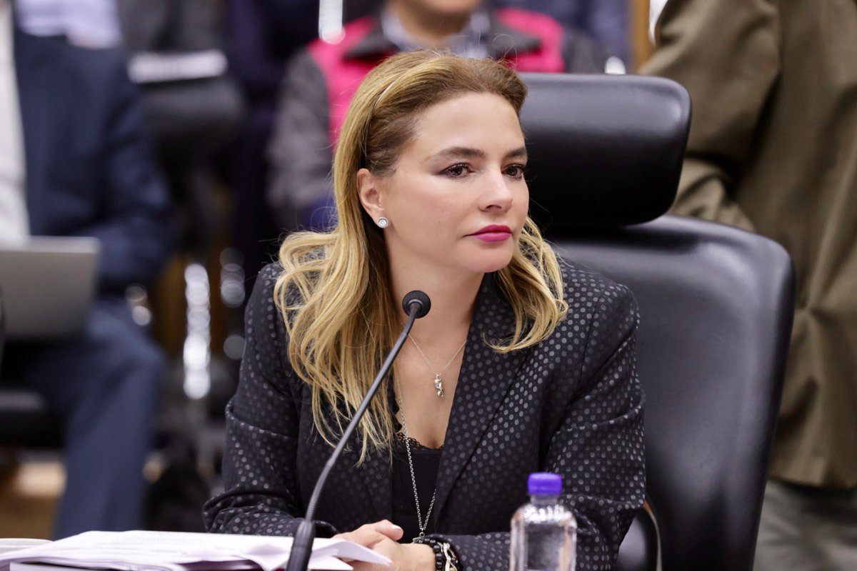 Hoy en el CG del <a href="/INEMexico/">@INEMexico</a> voté en contra de las acciones afirmativas previstas en el acuerdo de registro de candidaturas en favor de los grupos en situación de discriminación al considerar que su diseño limita indebidamente sus derechos humanos.