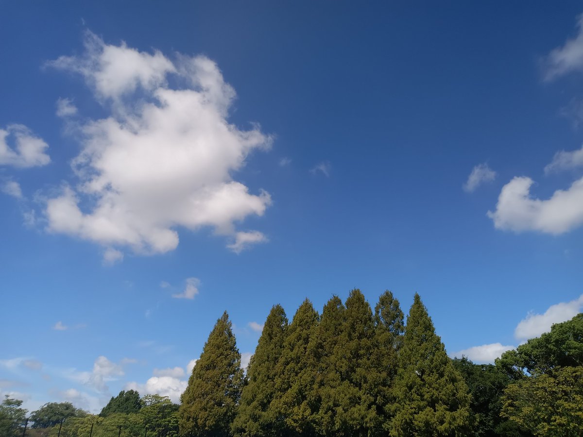 kuniaki_ya56188's tweet image. 気持ち良い天気の下でのスケーティング。今日は尻もち多めでモチベーション下がり気味↓
#アグレッシブインラインスケート
#庄内緑地スケパ