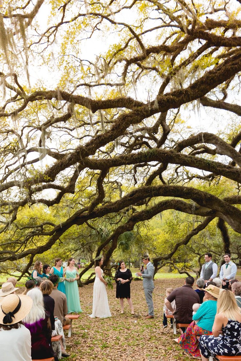 _Perrydise's tweet image. I got married under those trees 💔😭