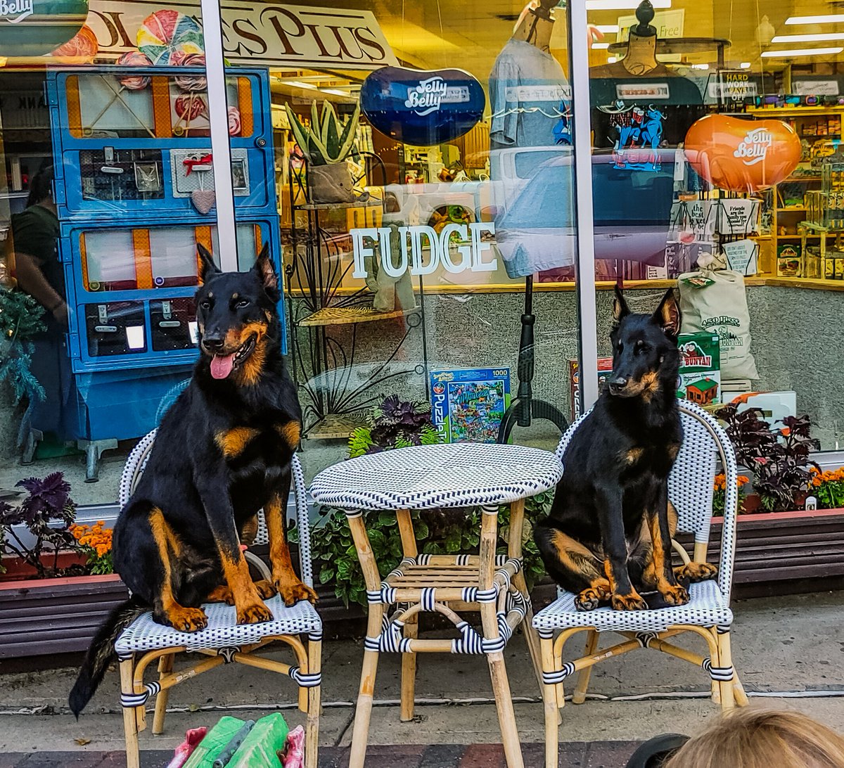 myBemidji's tweet image. Does this mean the dog days of summer are not over yet? #myBemidji
— at Chocolates Plus