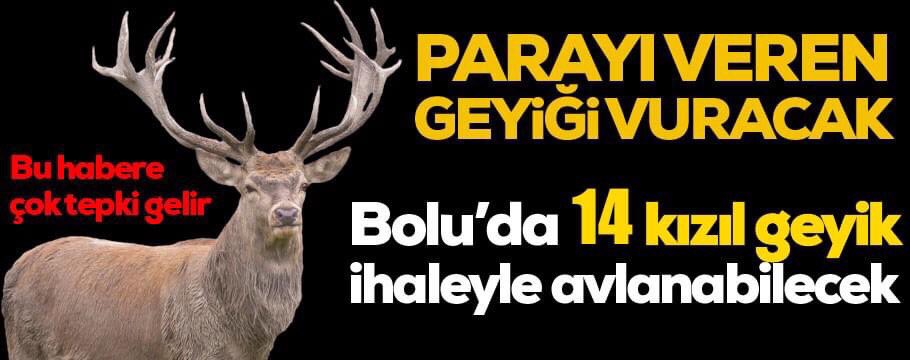 Bolu’da, nesli tükenmekte olan 14 kızıl geyiğin ihale ile avlanmasına “DUR” de!
#kızılgeyikleredokunma