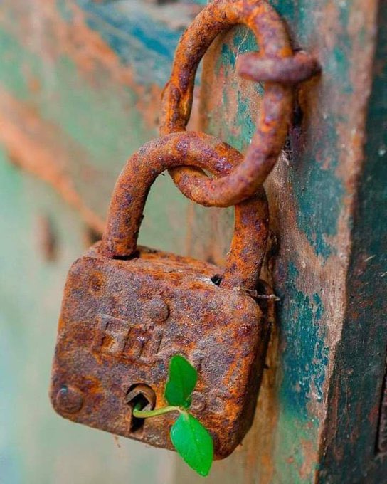 لا تقاتل من أجل شعور ...