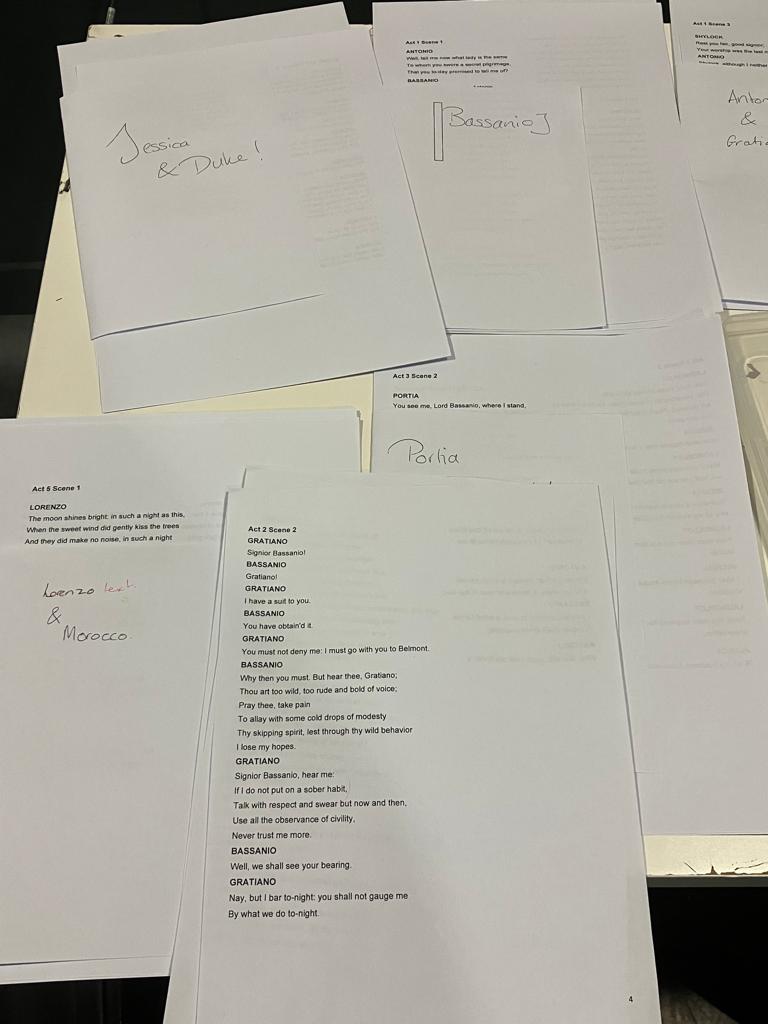 What an amazing first of three audition sessions we recently had, for our Poetic Justice Productions tour of our modern-day adaptation of The Merchant of Venice. So much incredible talent came into the room!