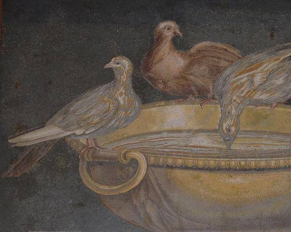 romanhistory1 tweet picture