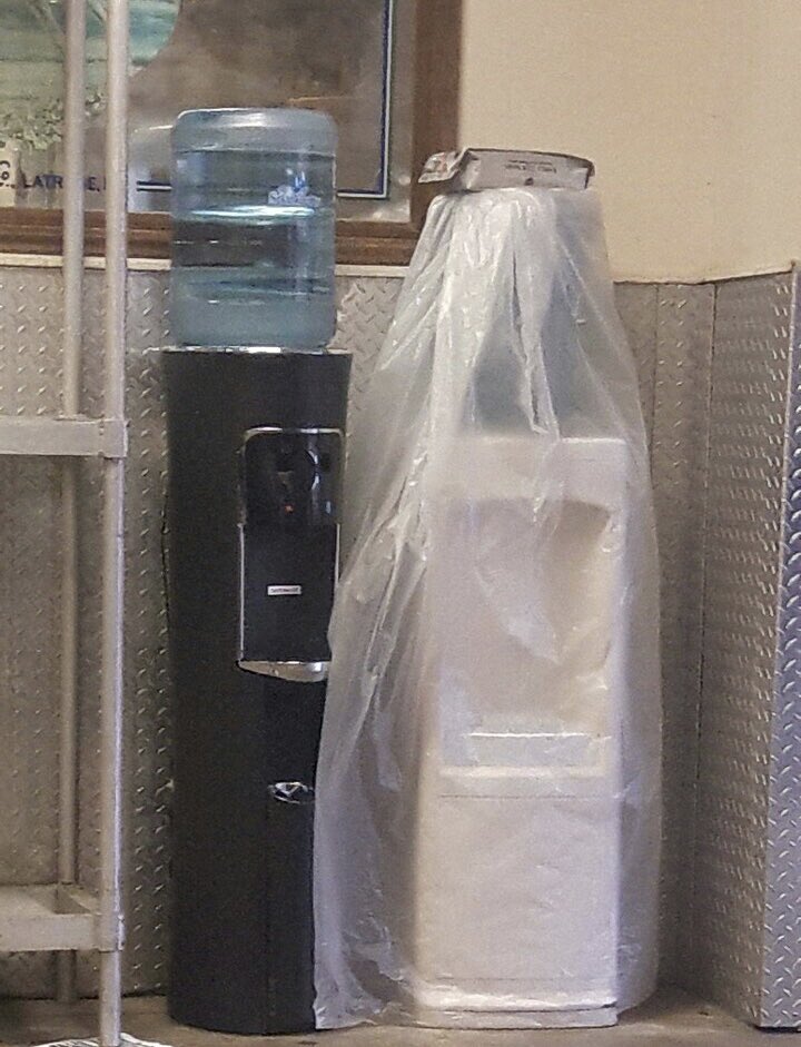 Kayla Chow Show tweet media