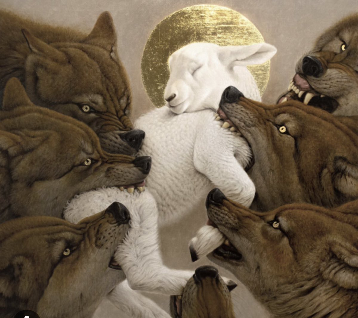 neolatyno's tweet image. how it feels being a twink on vacation in rural Italy