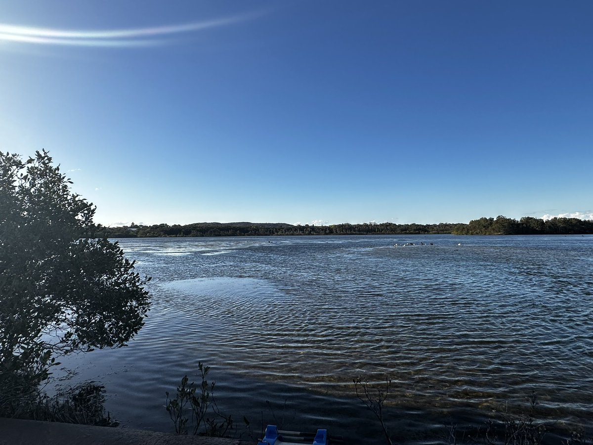 What a wonderful way to spend our twilight professional learning about the cultural connection to our country. #awabakalland