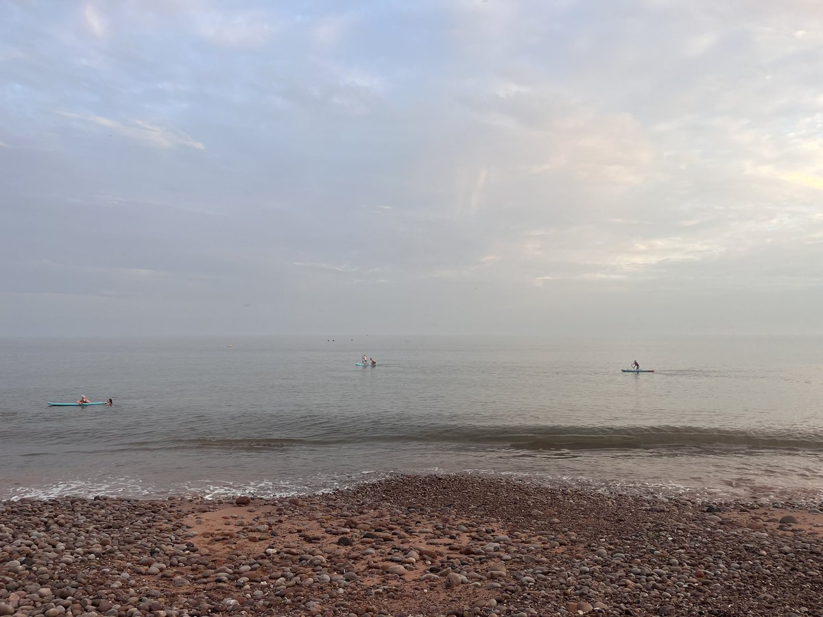 Philippa Rowe tweet media