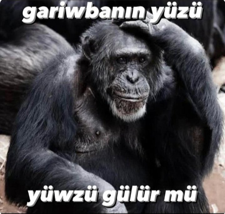 EyllSever462884's tweet photo. #AcikLiseHakkımız
9. Sınıf Corona, 10 sosyal mesafe, 11 deprem, şimdi de açık lise zorlasti...  2006 tayfanin yüzü gülmuor https://t.co/rLY1ETy7Ol