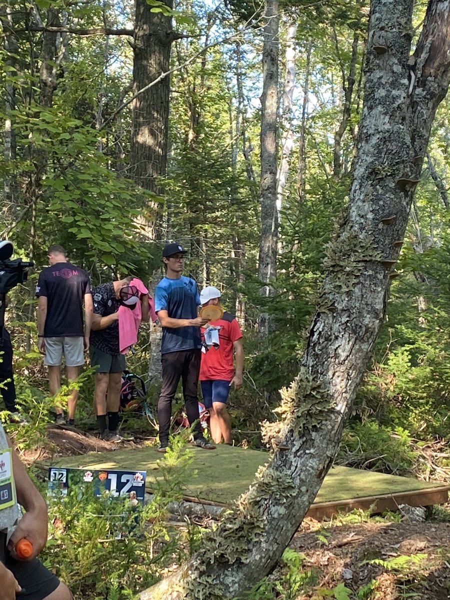 DiscGolfDailyNews tweet media