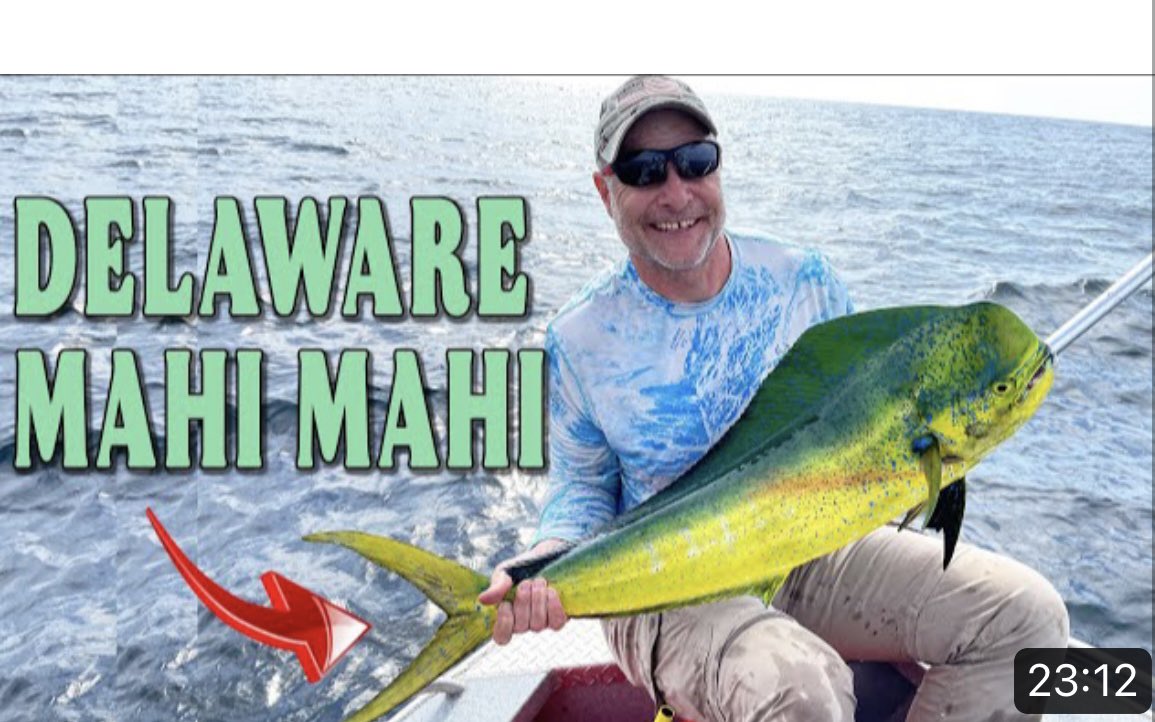 FishyAngler's tweet photo. New Video: https://t.co/aajKucx2Wx
We went fishing 20 miles offshore in North Atlantic ocean from Indian river inlet in Delaware. We had a fun day catching 7 different species of fish. #fishyangler #mahi #delawarefishing #fishing #fishinglife https://t.co/gK7szVcp8m