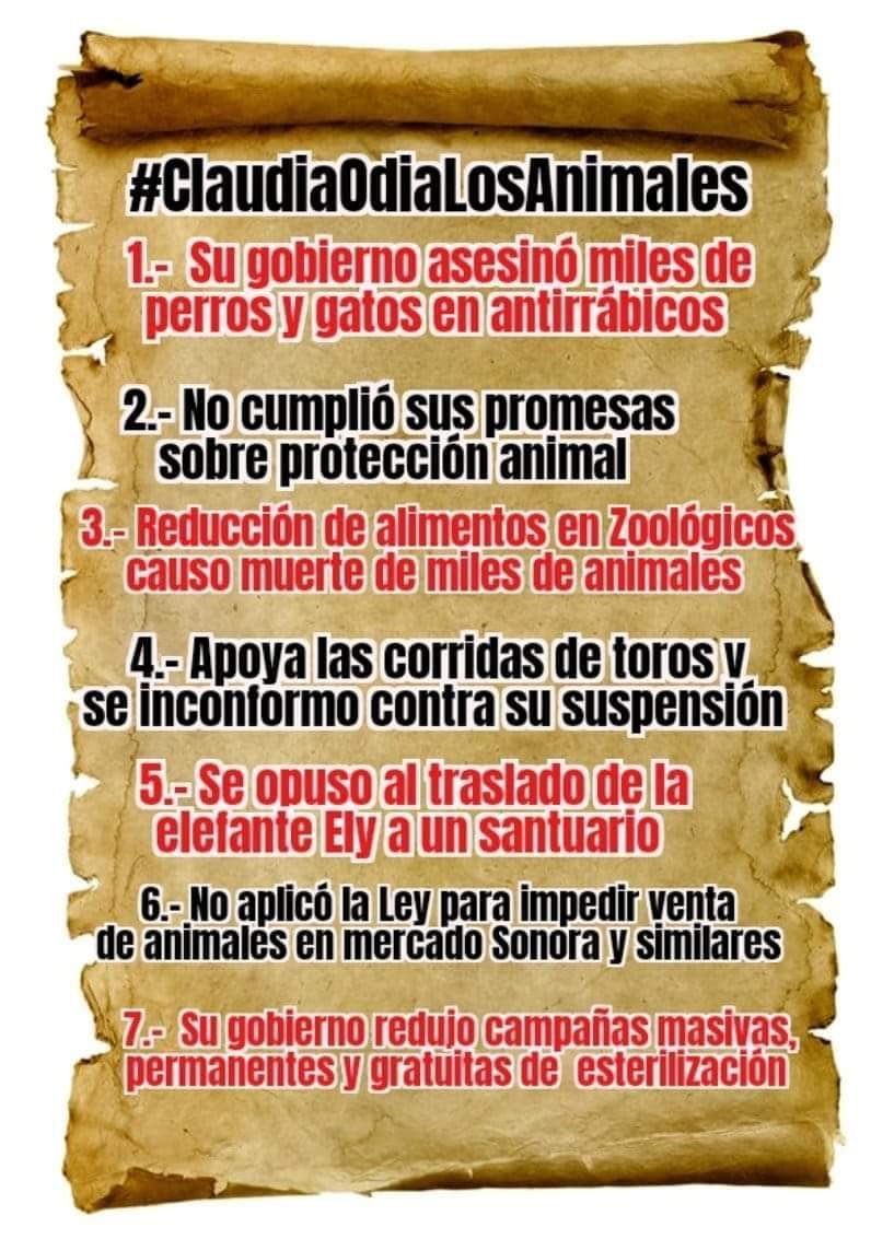 Marilú 💕🐘🐘🐘💕 🇲🇽 tweet media