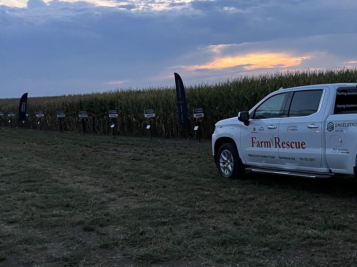 Beautiful night for local plot night benefit to #FarmRescue and great looking Wyffels corn in Story county Iowa #PlantYourIndependence