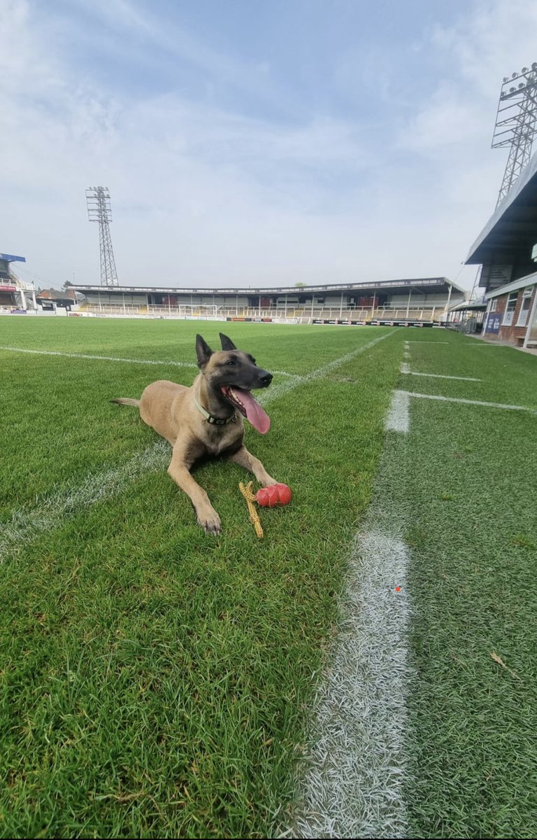 Thank you to Hereford Green watch for arranging some training at Hereford United FC. It was a hot day so only a couple of searches in the stands and another in changing  rooms and offices