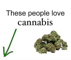 DankSinatraIVXX's tweet image. Fuck yeah they do! 💚
#stoner #WeedLovers