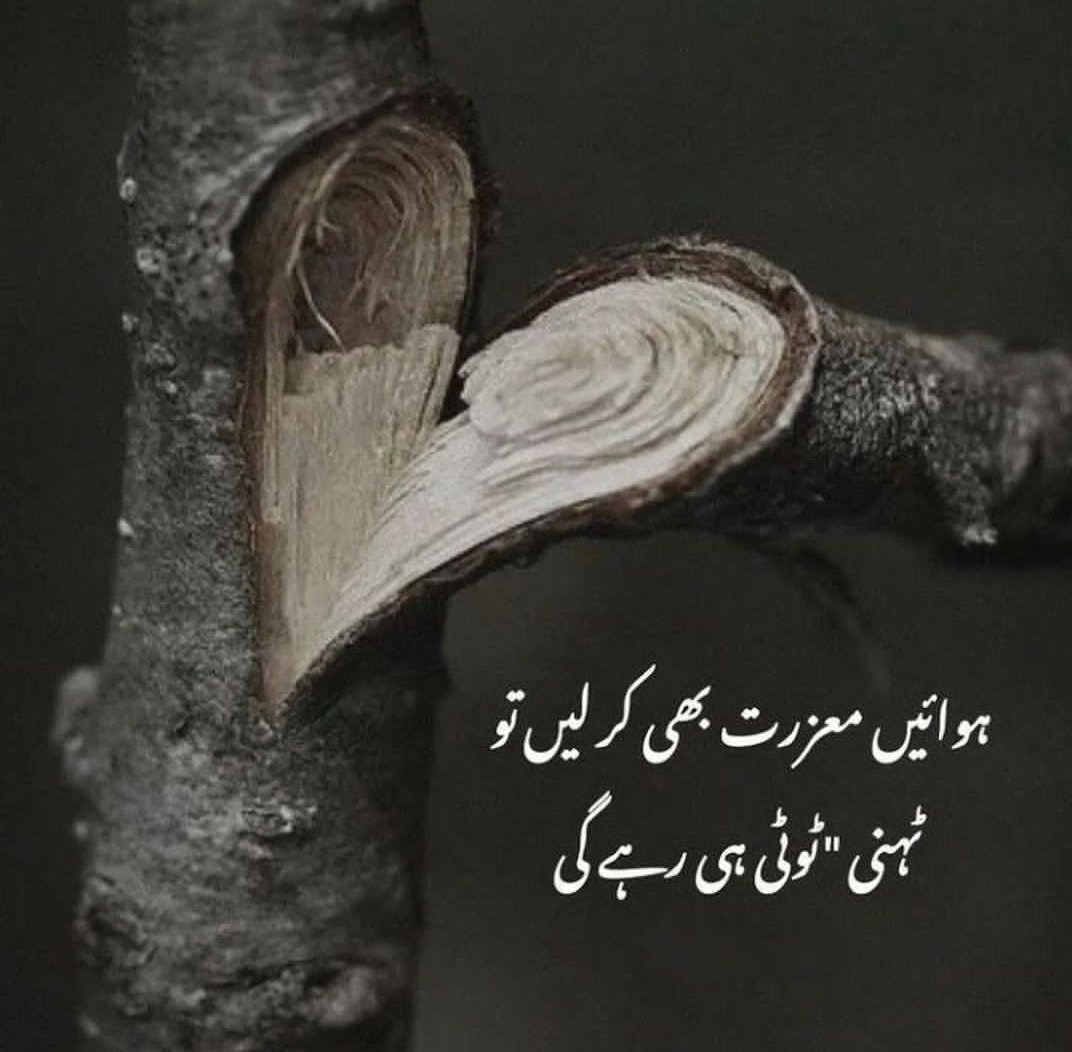 sehrishfatii's tweet image. #broken #bitterwords